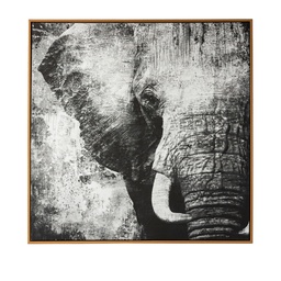 [230027068] Cuadro B&W elefante 80x80cm